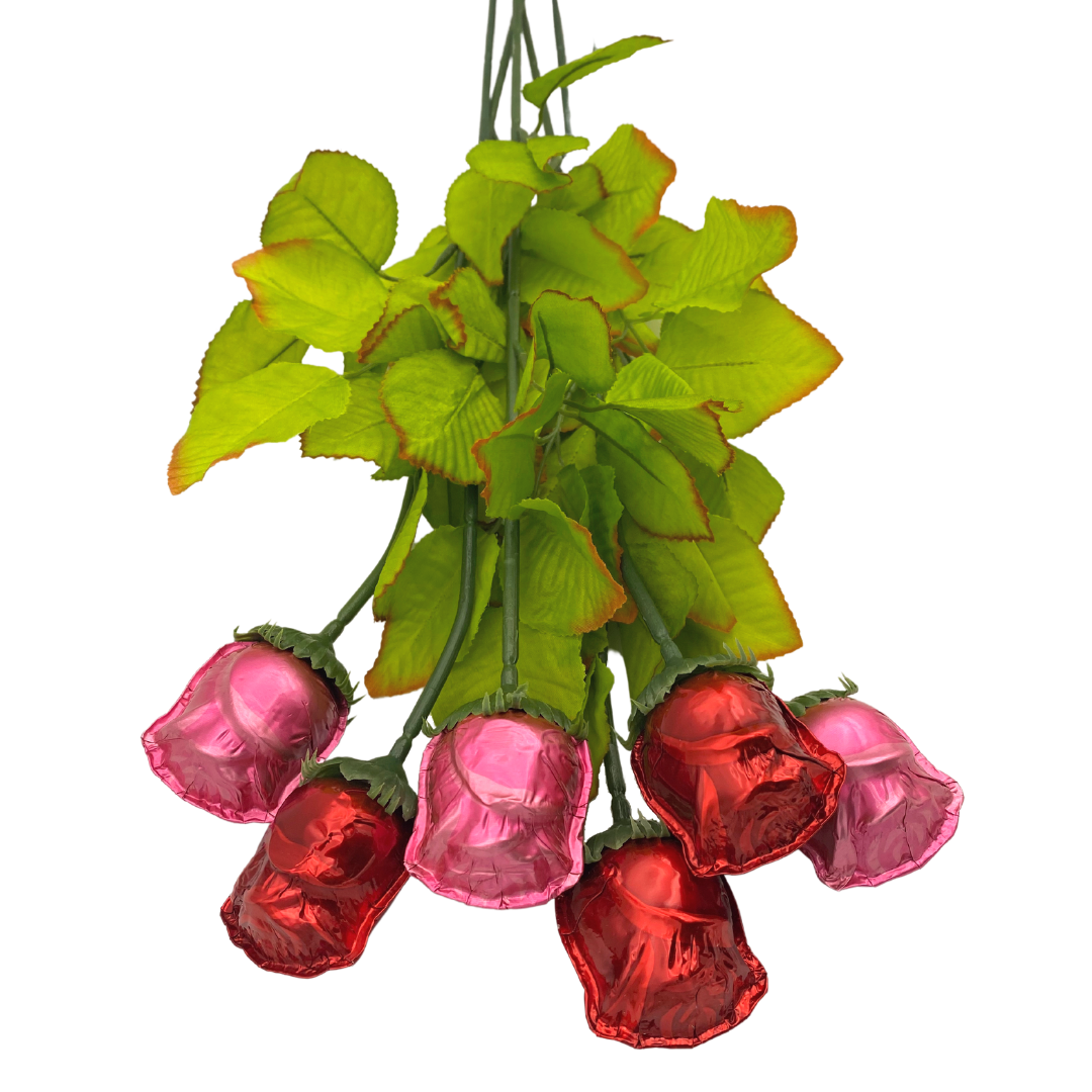 Madelaine Red Chocolate Roses