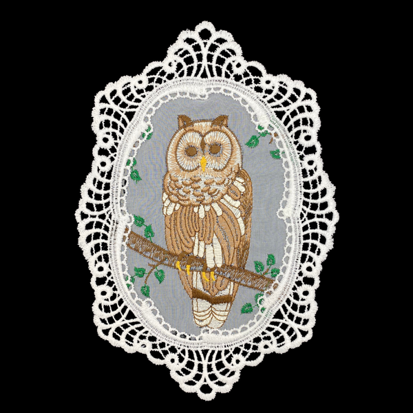 Owl in Lace Frame Window Hanging by StiVoTex Vogel