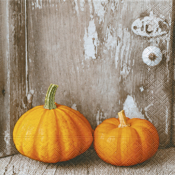 Two Pumpkins Cocktail Size Paper Napkins