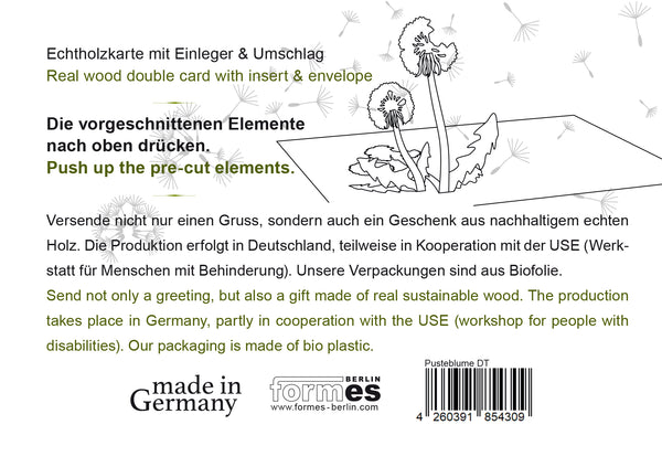 …die besten Wunsche, (Best Wishes)  Dandilions, 3D card by Formes-Berlin