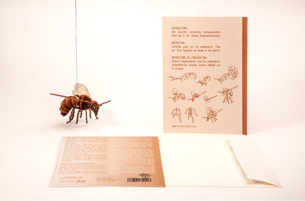 Bee 3D Wood Decoration Card by Formes-Berlin