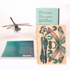 Dragonfly 3D Wood Decoration Card by Formes-Berlin