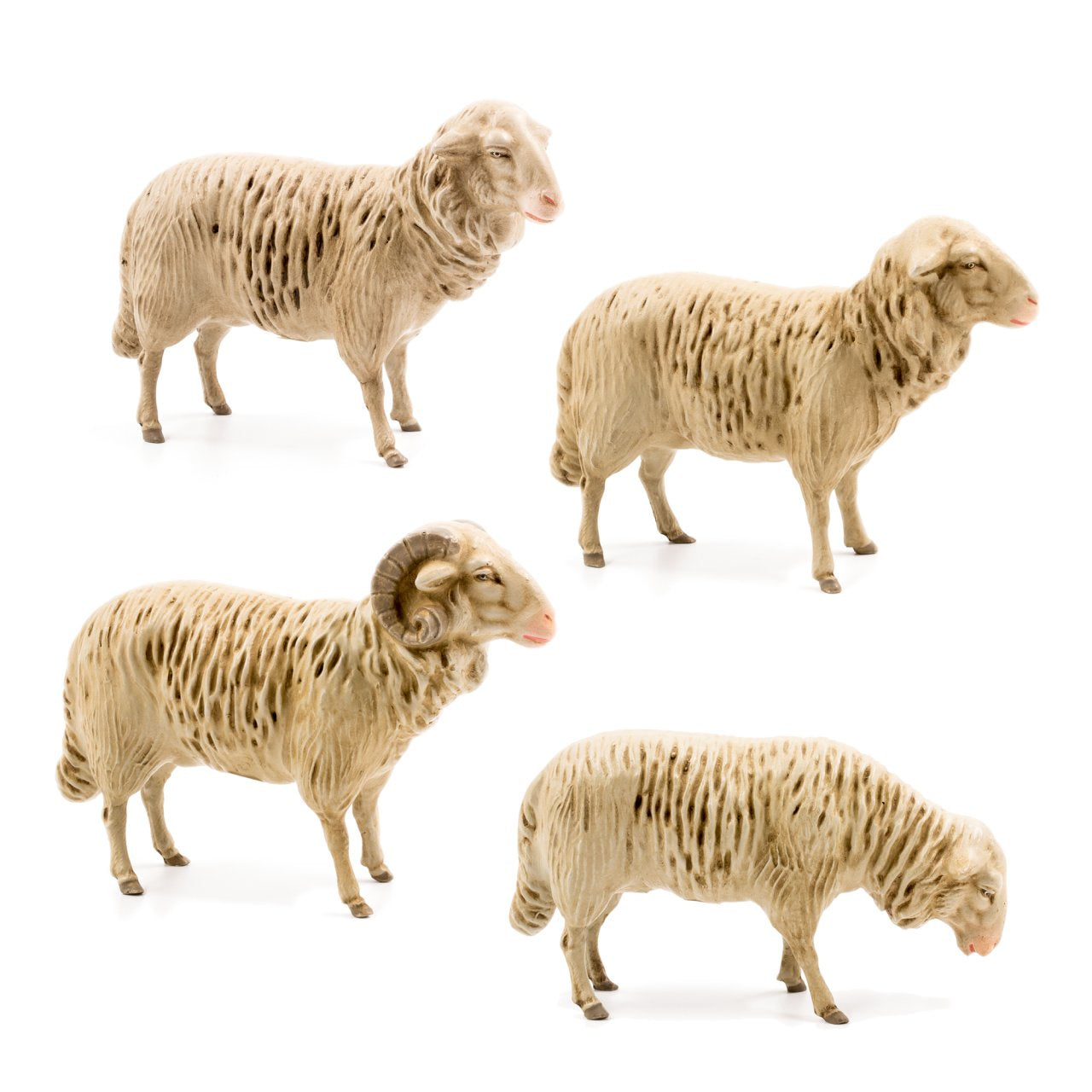 Flock of four Sheep, to 8.5 in. figures by Marolin Manufaktur