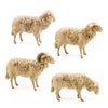 Flock of four Sheep, to 8.5 in. figures by Marolin Manufaktur