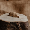 A hand-carved wooden figure of a sheep lying on a wooden stump, with a plain background by Reifendrehwerk Christian Werner