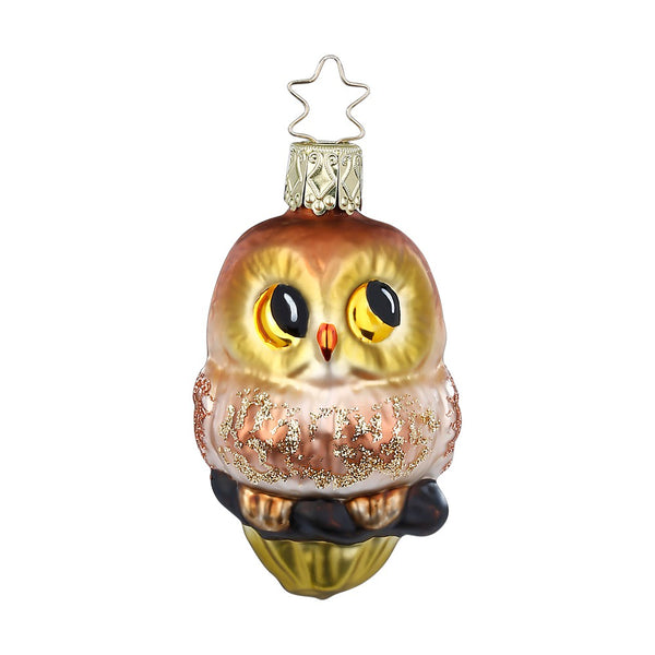 Cheerful Woodland Owl, 2.8''