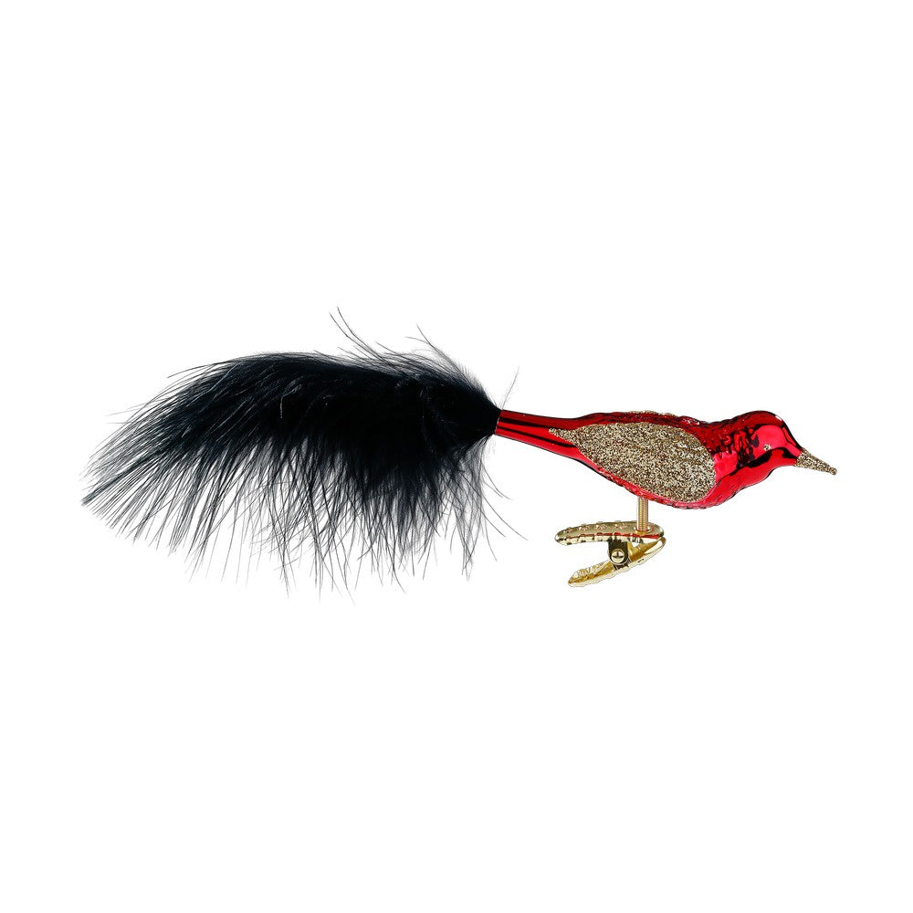 Glowing Feather by Inge Glas of Germany