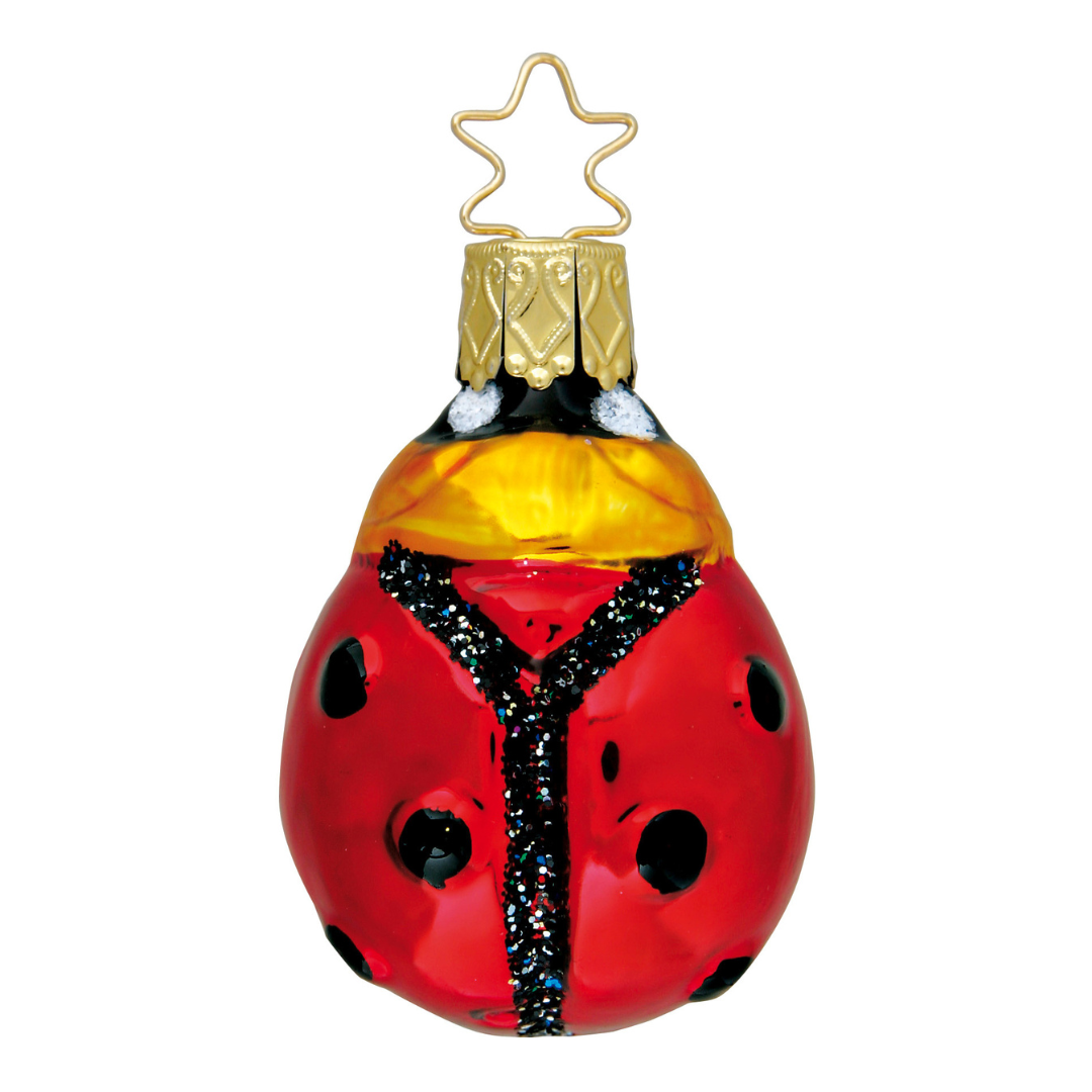 Petit Lucky Lady Bug by Inge Glas of Germany