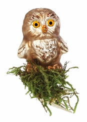 Young Owl Clip On Ornament by Inge Glas of Germany