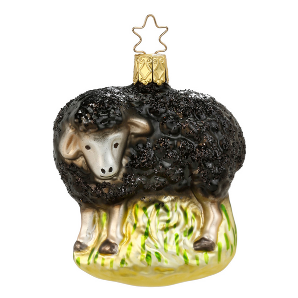 The Black Sheep Ornament by Inge Glas of Germany