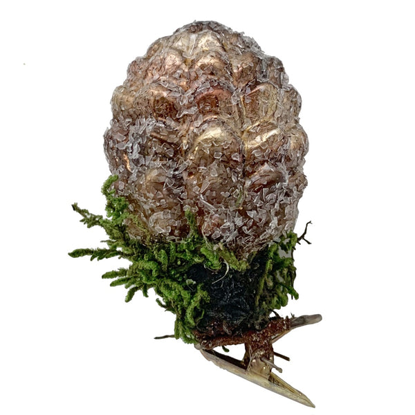 Fairytale Forest Clip-on Pine Cone with Moss by Inge Glas of Germany