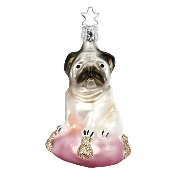 Custom Clear Glass Pet Portrait Ornament — HVNY