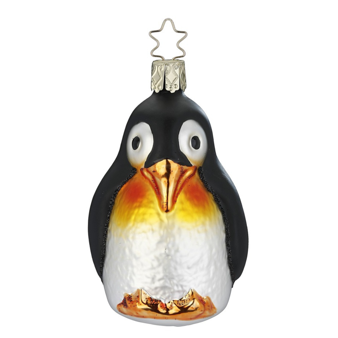 Emperor Penguin by Inge Glas of Germany