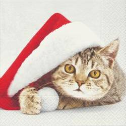 Christmas Cat Luncheon Size Paper Napkins by Made by Paper and Design GmbH