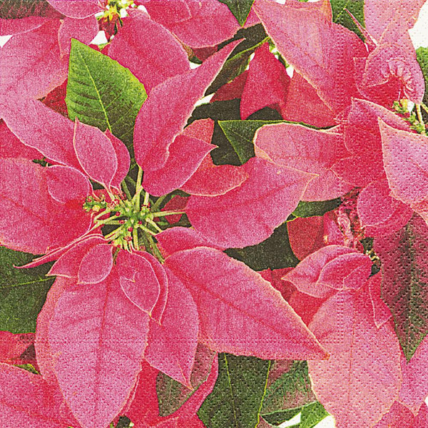 Pink Poinsettia Paper Luncheon Size Paper Napkins