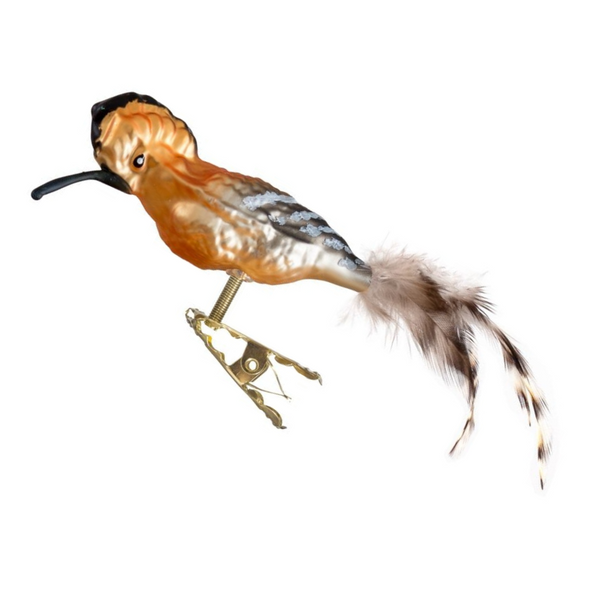 Hoopoe by Glas Bartholmes