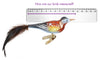 Magpie Mini Bird by Glas Bartholmes