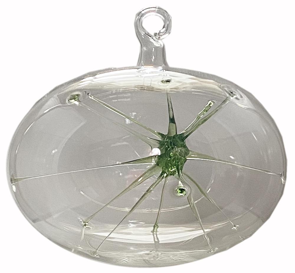 Clear Starburst, Olive by Greiner-Perth Glaskunst