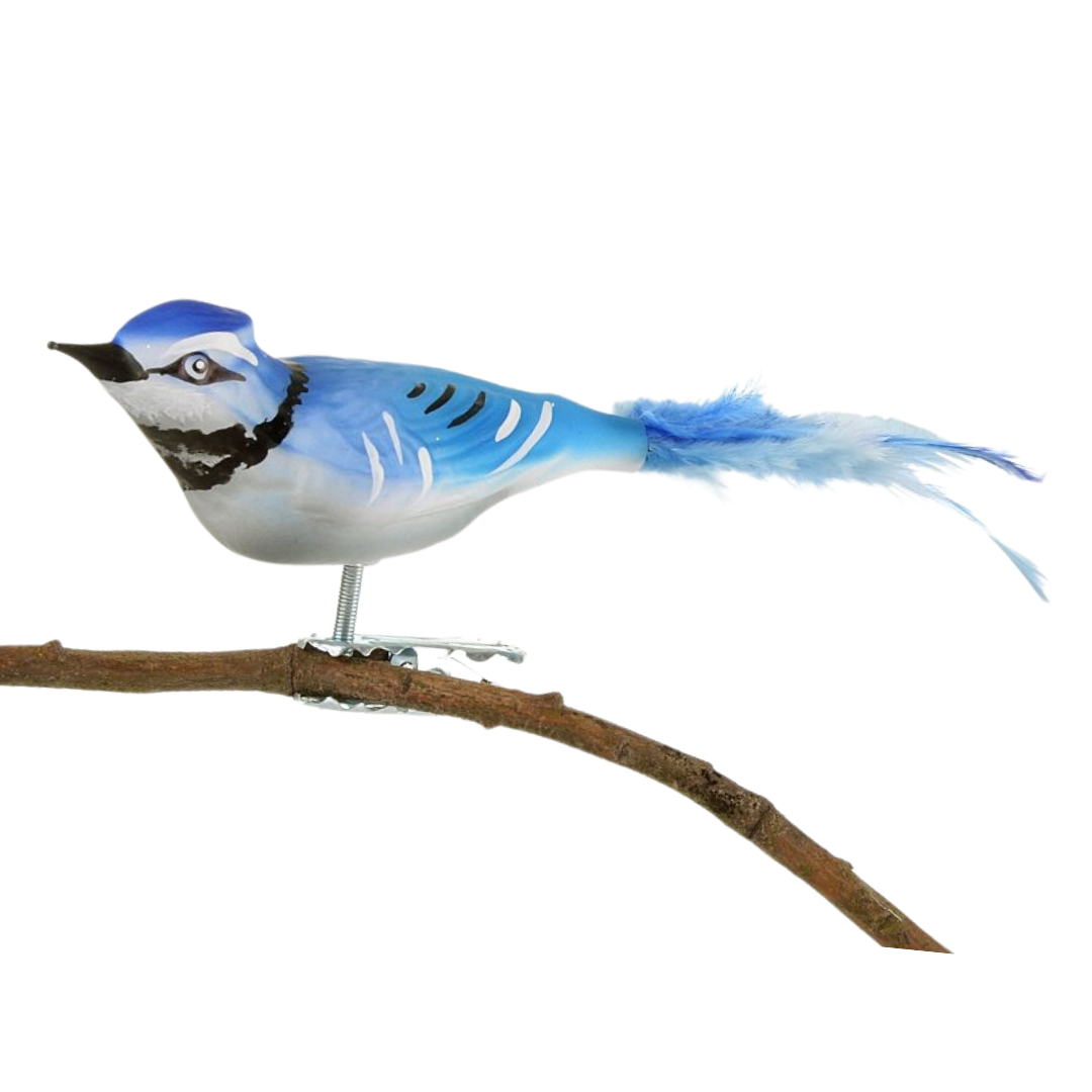 Blue Jay Ornament by Glas Bartholmes