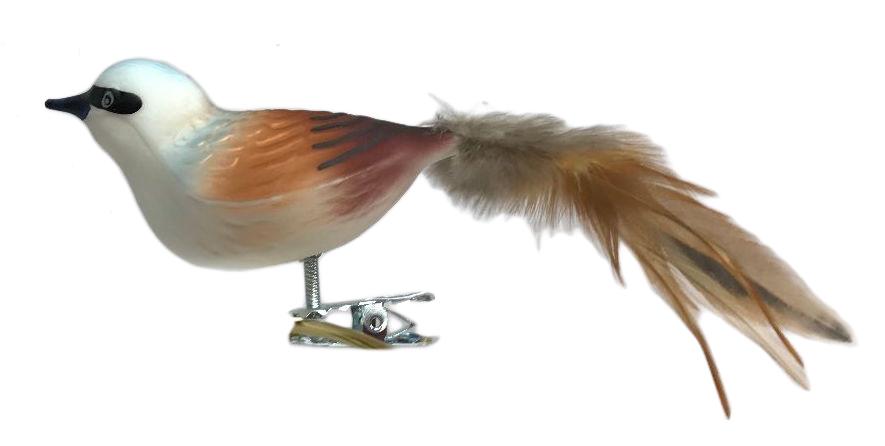 Red Backed Shrike by Glas Bartholmes