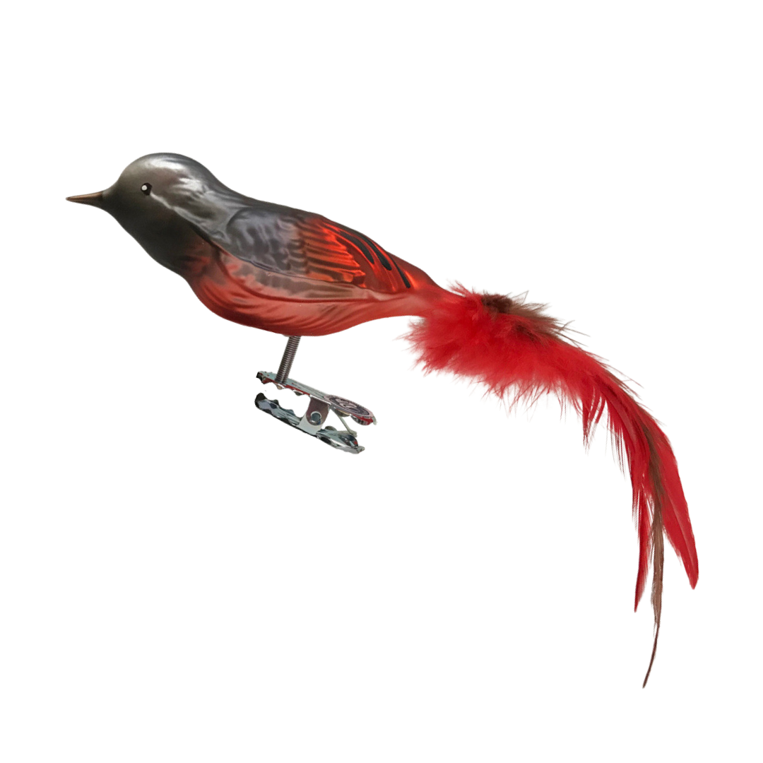 Redstart bird by Glas Bartholmes