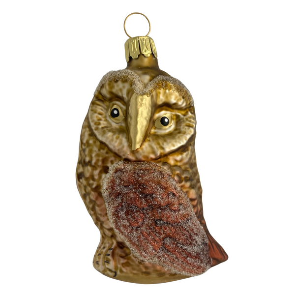 Brown Owl with turned head by Glas Bartholmes