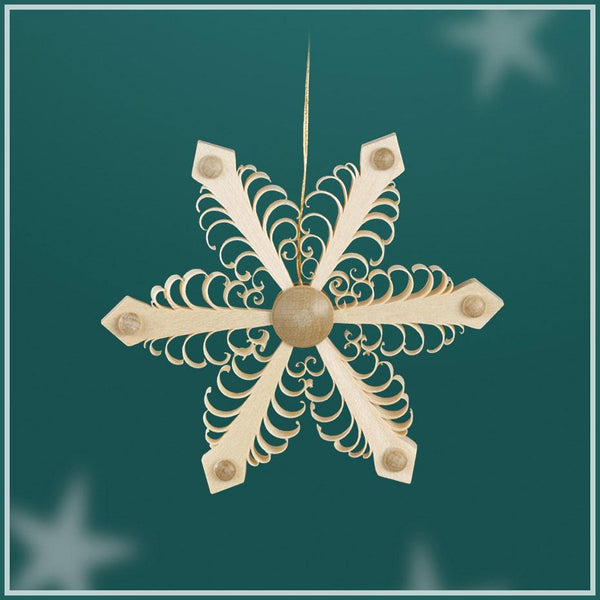 Pointed Snowflake Ornament by Martina Rudolph